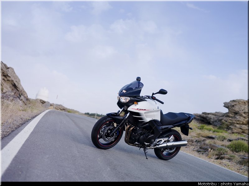 yamaha_900tdm_2007_006