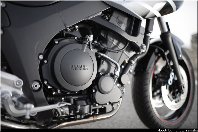 yamaha_900tdm_2007_008