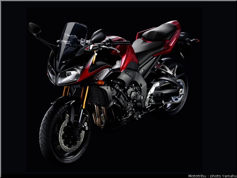 yamaha_fz1_fazer_2007_006