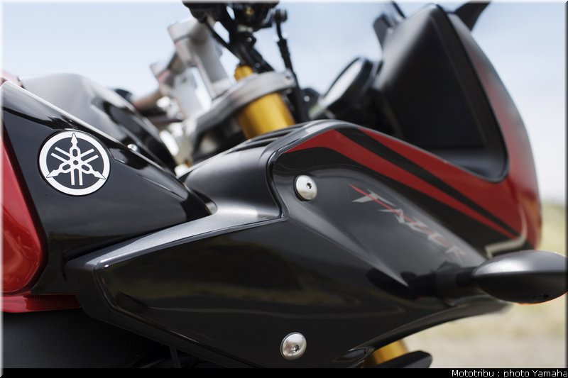 yamaha_fz1_fazer_2007_019