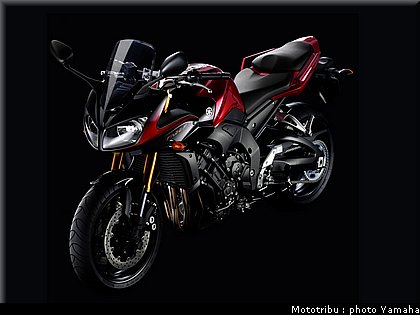 yamaha_fz1_fazer_2007_006.jpg