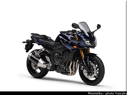 yamaha_fz1_fazer_2007_013.jpg