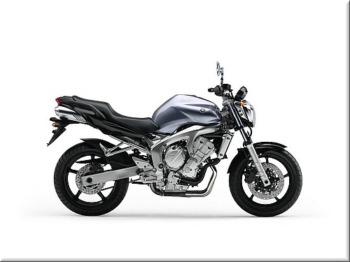 yamaha-fz6-2007-001.jpg