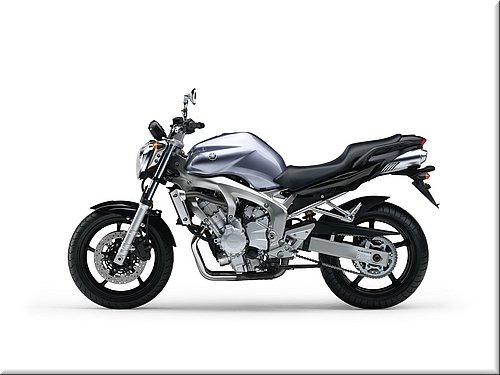 yamaha-fz6-2007-002.jpg