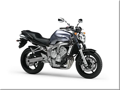 yamaha-fz6-2007-003.jpg