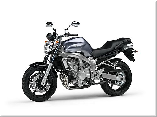 yamaha-fz6-2007-004.jpg