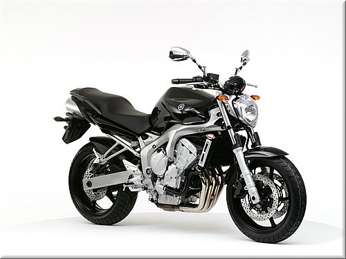 yamaha-fz6-2007-007.jpg