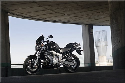 yamaha-fz6-2007-009.jpg