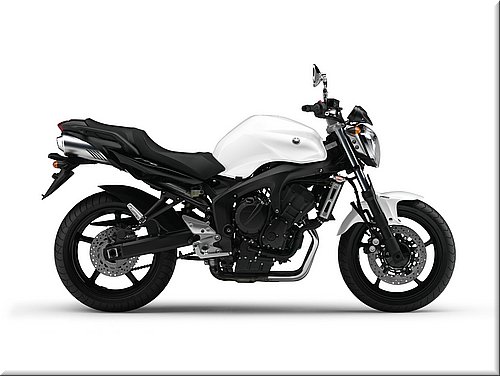 yamaha-fz6s2abs-2007-005.jpg