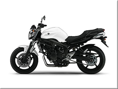 yamaha-fz6s2abs-2007-006.jpg