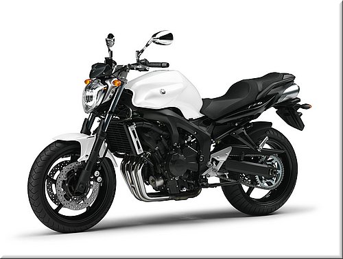 yamaha-fz6s2abs-2007-008.jpg
