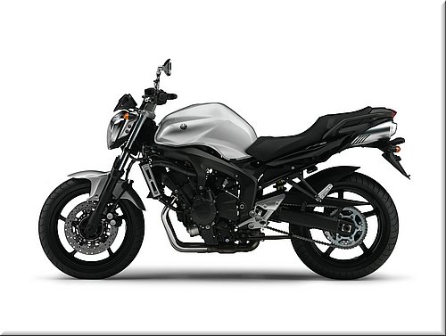yamaha-fz6s2abs-2007-031.jpg