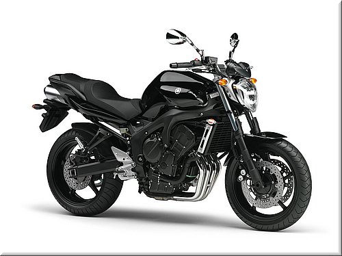 yamaha-fz6s2abs-2007-036.jpg