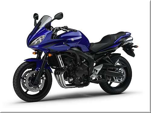 yamaha-fz6s2abs-fazer-2007-004.jpg