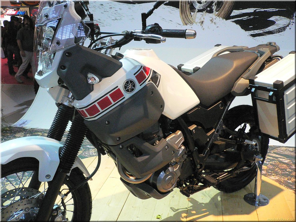 MOTO 