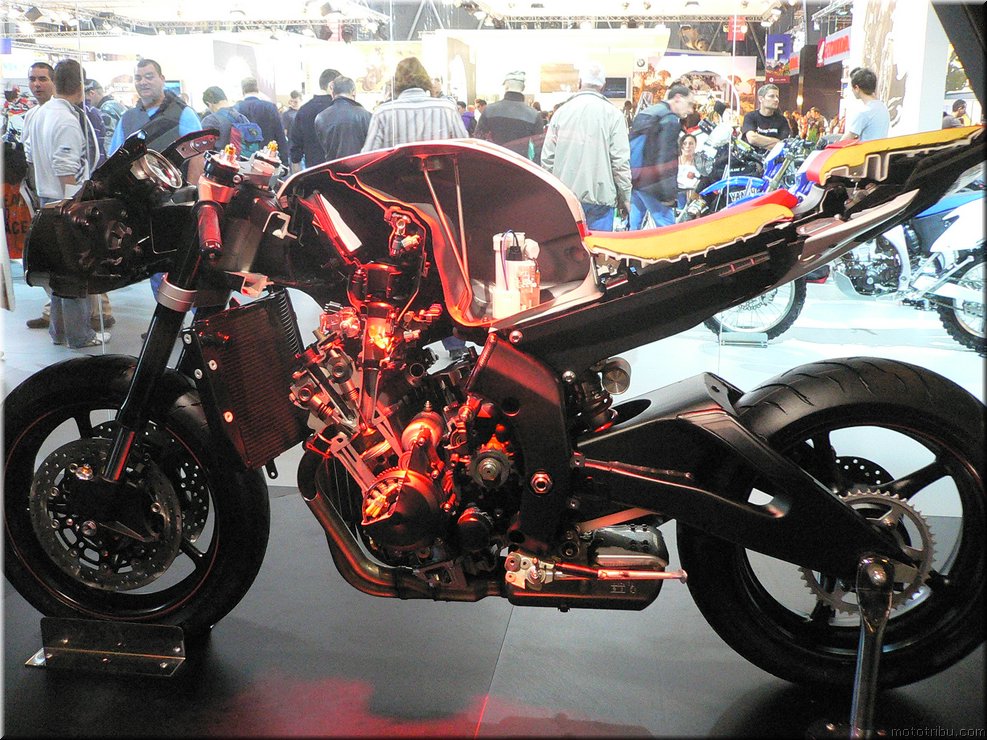 MOTO 