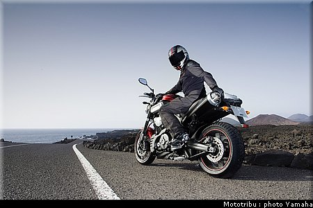 yamaha_mt01_2007_003.jpg