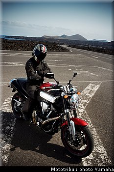 yamaha_mt01_2007_006.jpg