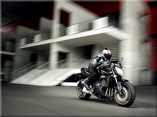 yamaha-fz1-2008-004.jpg