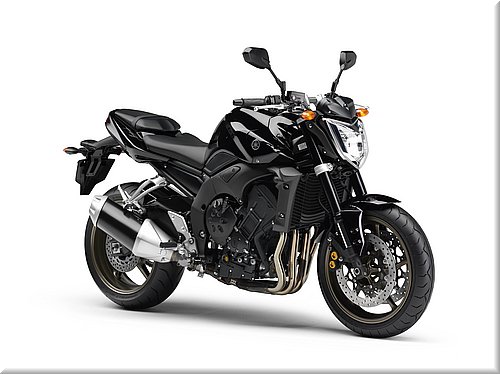 yamaha-fz1-2008-012.jpg