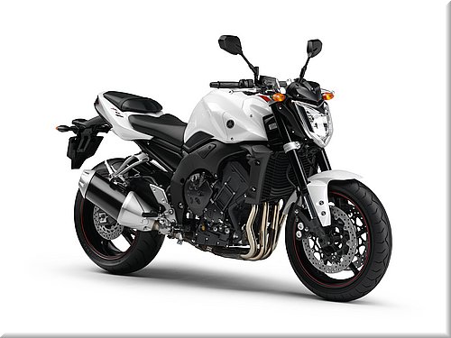 yamaha-fz1-2008-013.jpg