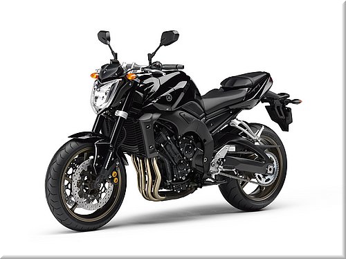 yamaha-fz1-2008-014.jpg