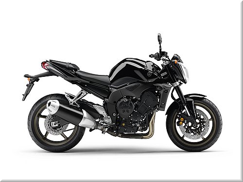 yamaha-fz1-2008-016.jpg