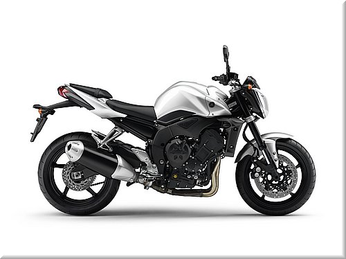 yamaha-fz1-2008-019.jpg