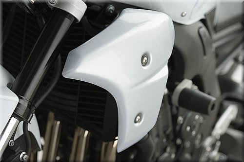yamaha-fz1-2008-024.jpg