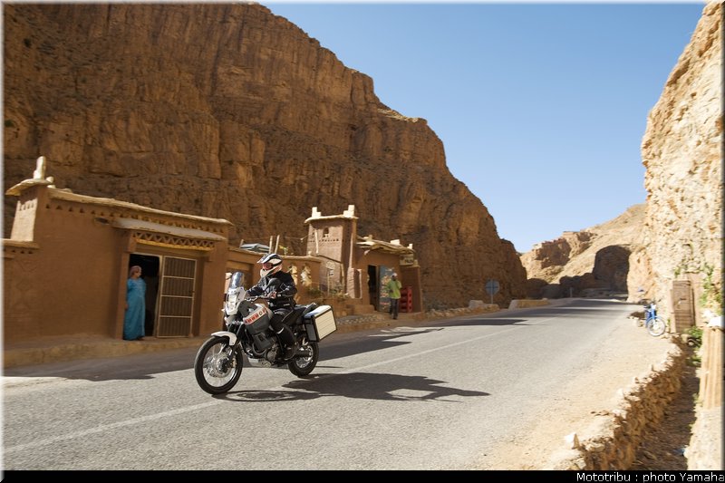 yamaha_tenere2008_004