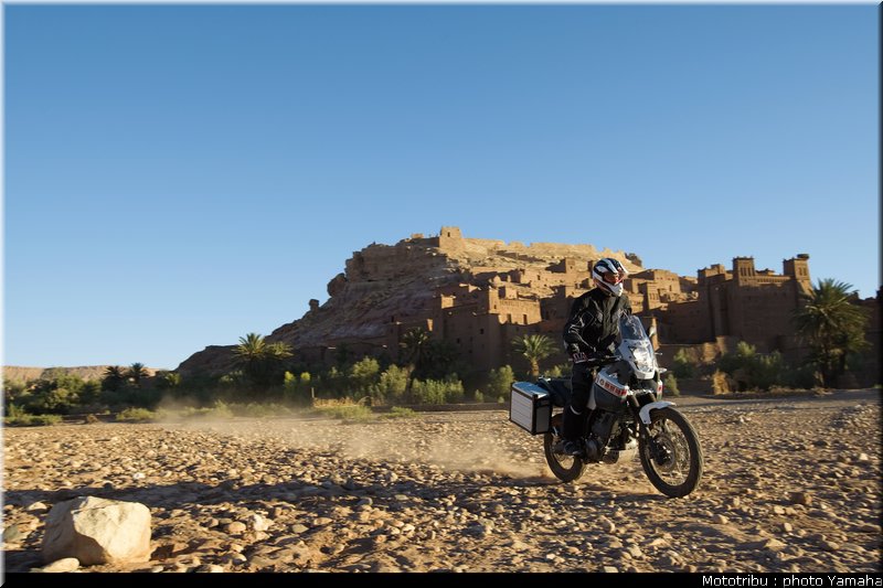yamaha_tenere2008_011