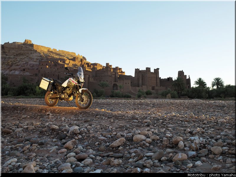 yamaha_tenere2008_021