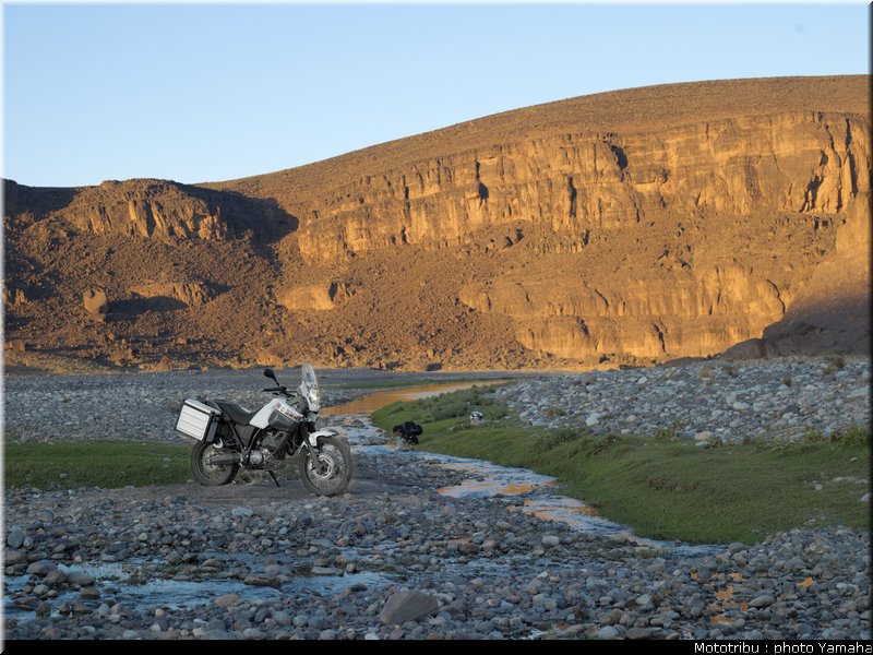 yamaha_tenere2008_023