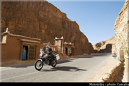 yamaha_tenere2008_004.jpg