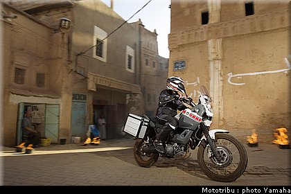yamaha_tenere2008_007.jpg