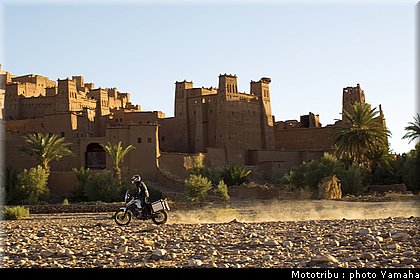 yamaha_tenere2008_009.jpg