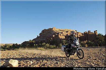 yamaha_tenere2008_011.jpg