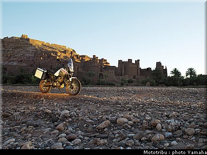 yamaha_tenere2008_021.jpg