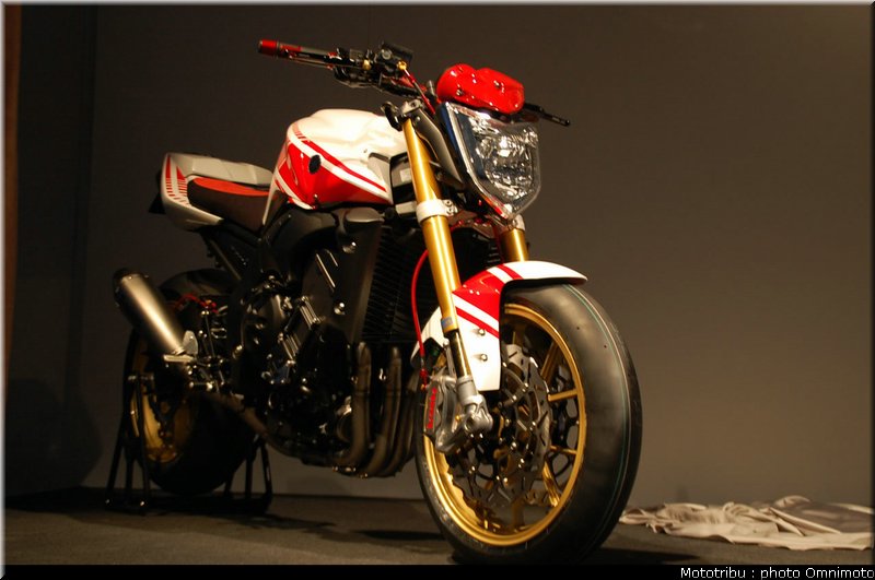 yamaha_fz1_abarth_2009_008