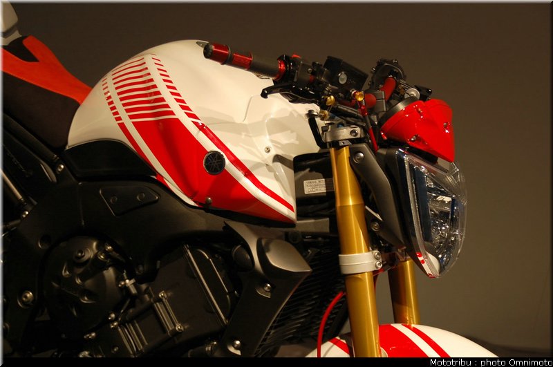 yamaha_fz1_abarth_2009_009