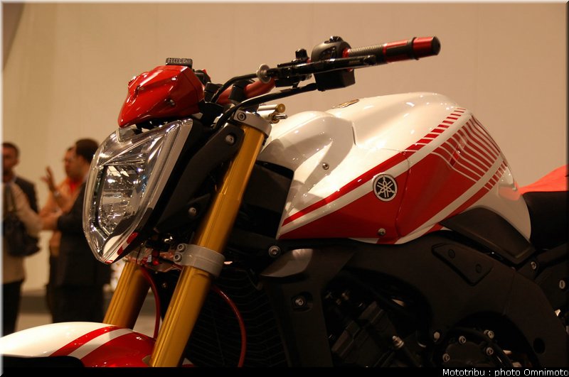 yamaha_fz1_abarth_2009_010