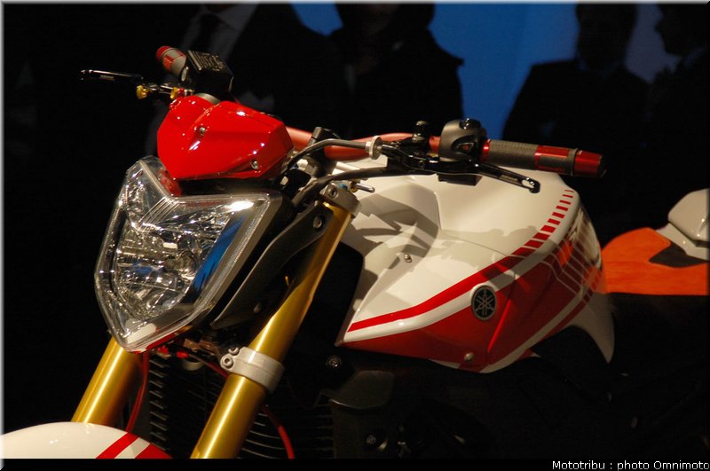 yamaha_fz1_abarth_2009_016