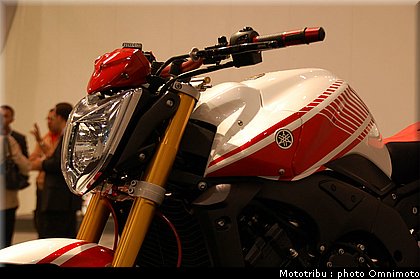 yamaha_fz1_abarth_2009_010.jpg