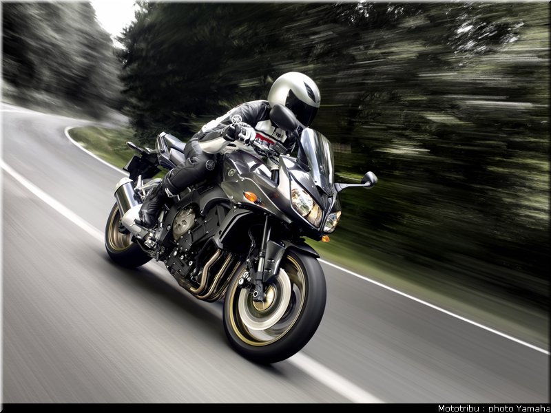yamaha_fz1_fazer_2009_005