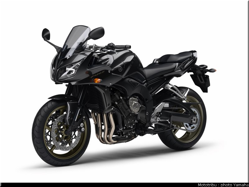 yamaha_fz1_fazer_2009_013