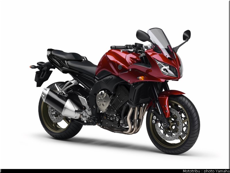 yamaha_fz1_fazer_2009_021