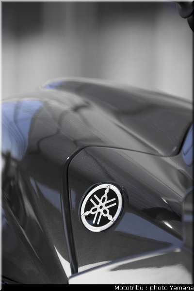 yamaha_fz1_fazer_2009_030