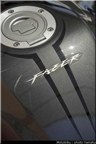yamaha_fz1_fazer_2009_035