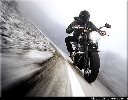 yamaha_mt01_2009_002.jpg
