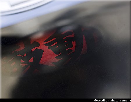 yamaha_mt01_2009_015.jpg